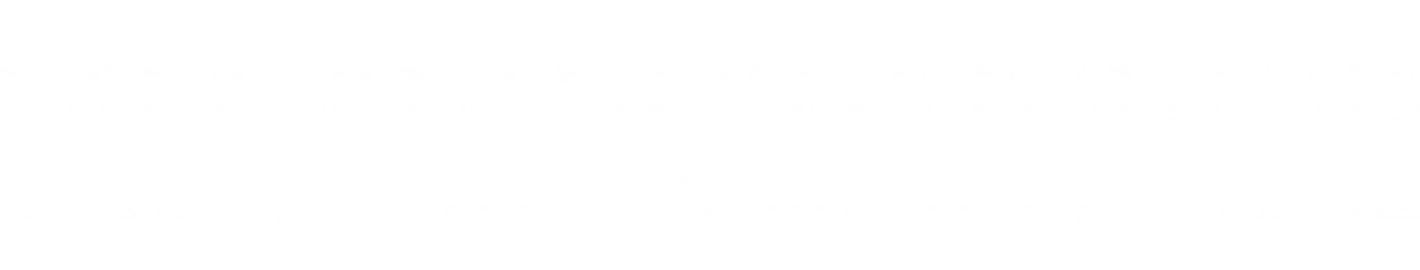 City AutoLackierung
